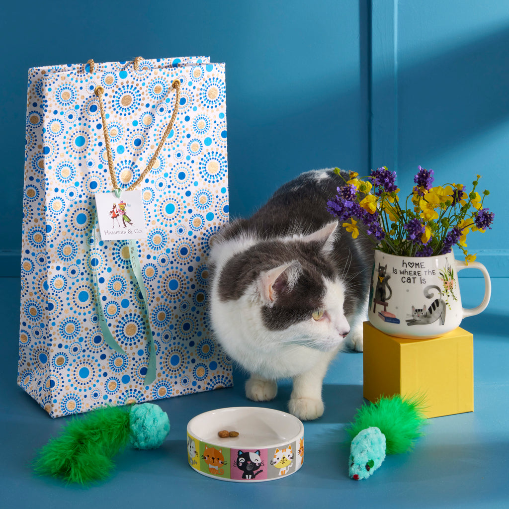 Pet gifts delivered. Gifts for Cats . Gifts for cat owners 