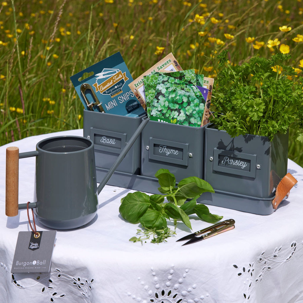 Gardening Gift, Herb kitchen giftset, hampers delivered, retirement gift, new home gift, birthday gift, gift for her, gift for him, outdoor gift, corporate gifting, staff gifts, gifts delivered, gift box, thank you gift, irish business