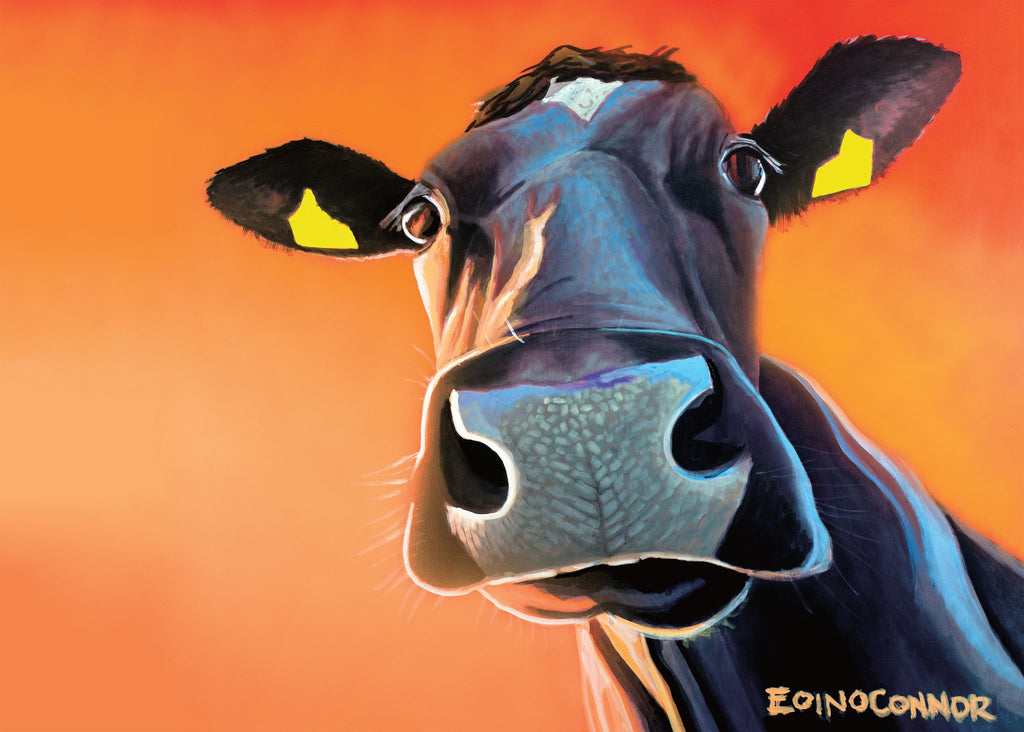 tipperary crystal range, eoin o connor range, tipperary crytal gift, Christmas gift, birthday gifts, get well soon gift, kitchen gifts, new home gifts,