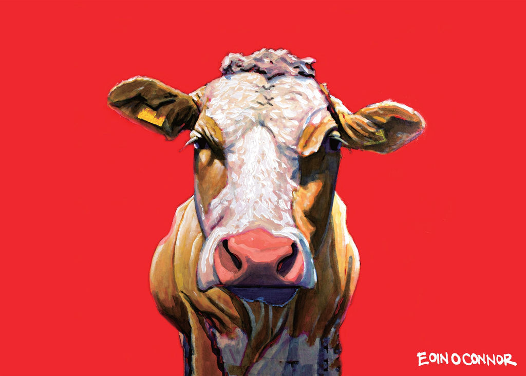 tipperary crystal range, eoin o connor range, tipperary crytal gift, Christmas gift, birthday gifts, get well soon gift, kitchen gifts, new home gifts,