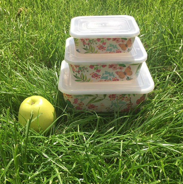 Set of Butterfly Storage Picnic Boxes. 3 perfect picnic boxes.